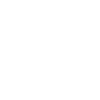 Flying Dutchmen Travel - Women Owned