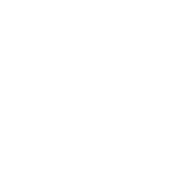 Flying Dutchmen Travel - River Cruises